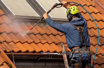 Démoussage et hydrofuge de toiture à Voyer